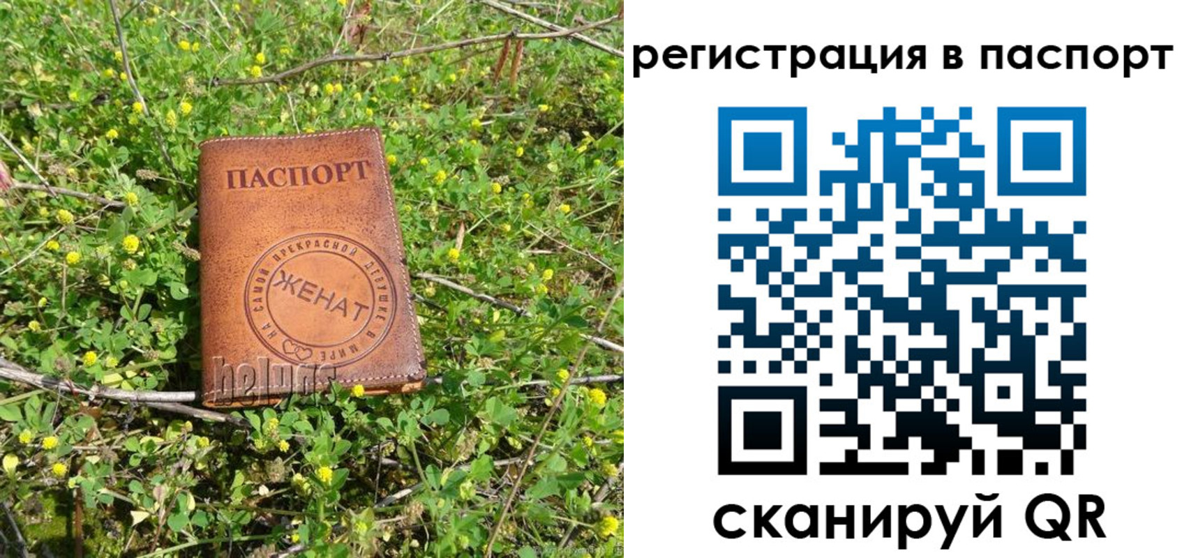 прописка законно в Электрогорске