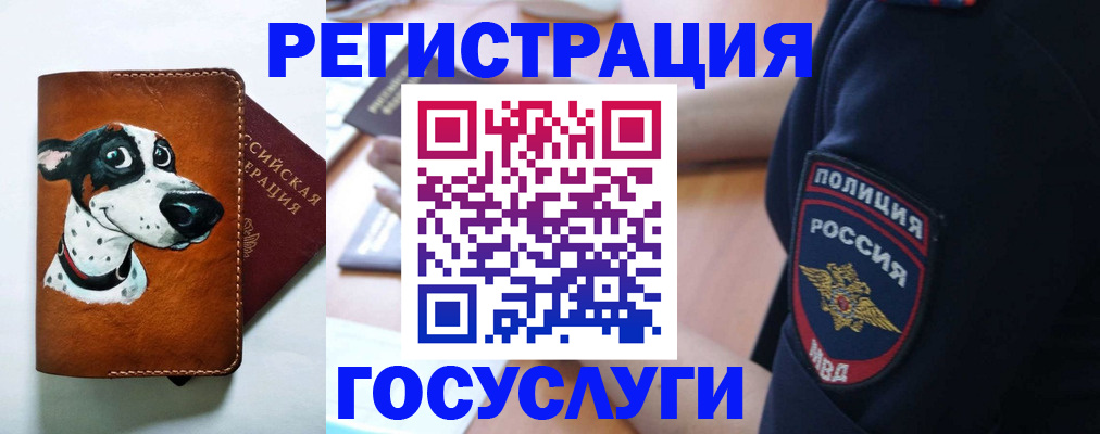 временная регистрация в квартире в Электрогорске